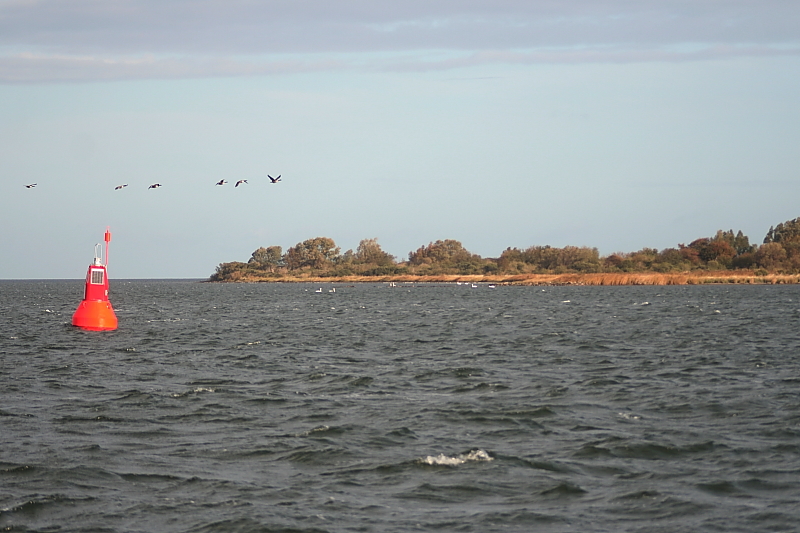 Boddensegeln Segelurlaub